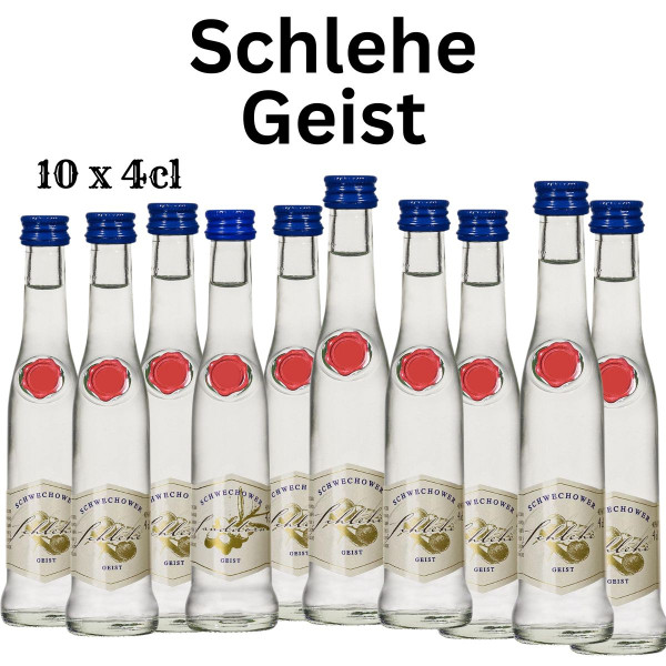 10 x Obstgeist Schlehe 4cl (40%Vol)