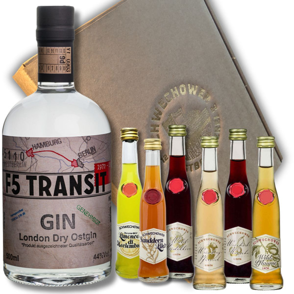 *Präsent GIN + 6 Kleine Liköre (Mix) im Geschenkkarton - Schnapsgeschenk